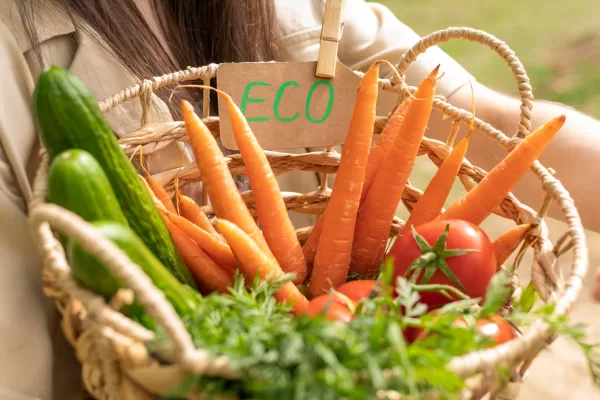 Cesta com alimentos orgânicos como cenouras, tomates, pepinos e folhas verdes frescas.