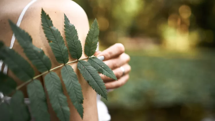 Folha verde sobre ombro feminino ao ar livre, conexão com a natureza e bem-estar natural.